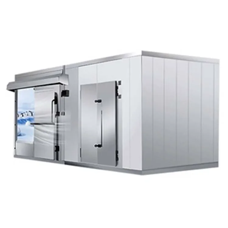 45c Freezing Chamber Restaurant Equipment Water Chiller Cold Room With Pump Freezer