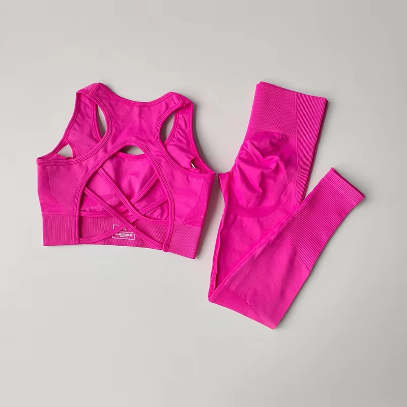Conjunto de Sujetador deportivo para mujer, camiseta sin mangas profesional para Fitness, mallas para correr a prueba de golpes, traje de Yoga, ropa con sujetador trasero bonito, 2 uds.