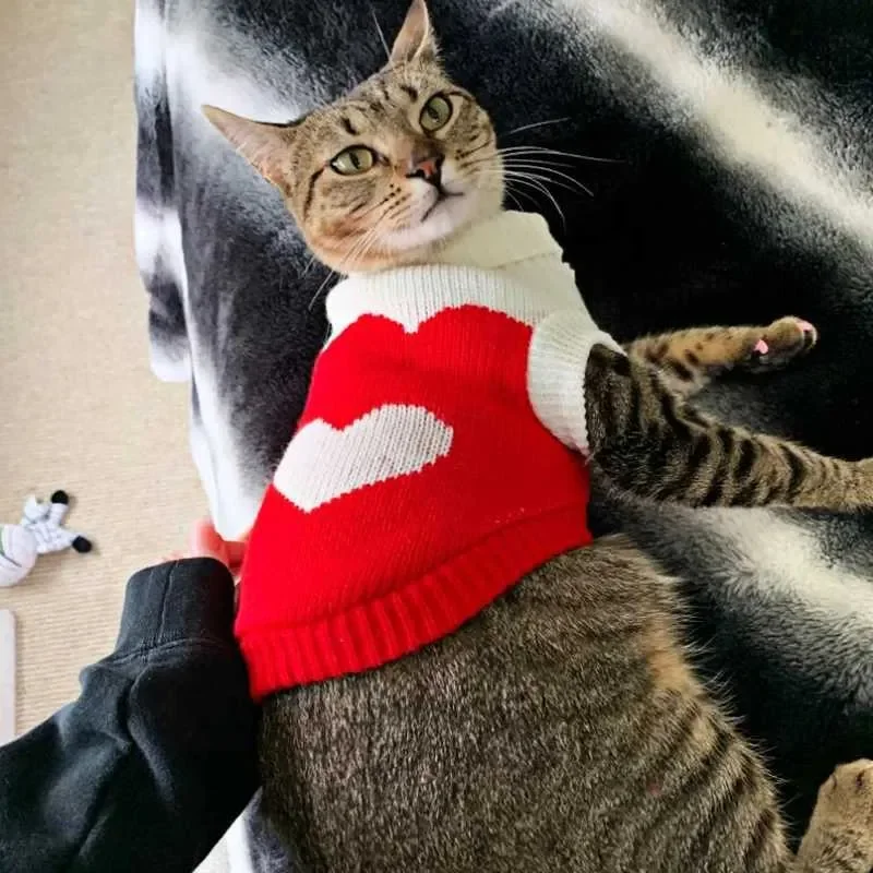 سترات عيد الميلاد عالية الجودة مناسبة للكلاب والقطط الصغيرة ملابس الشتاء للكلاب سترات تشيهواهوا للجرو ملابس الحيوانات الأليفة