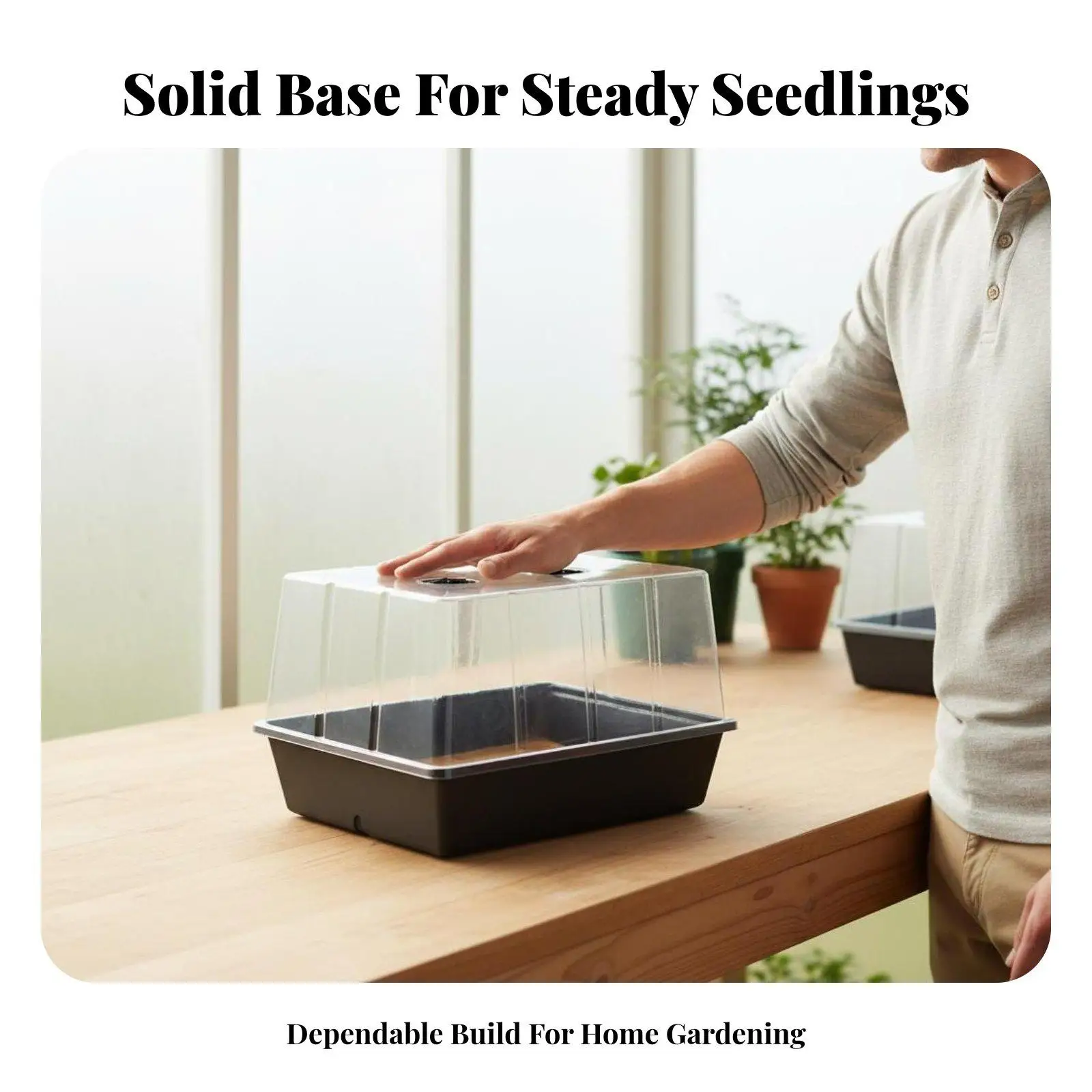 Nursery Tray with Base for Seed Starting Propagation Kit Clear Plastic Tray for Sprouting Plants Outdoor Plant Tray for