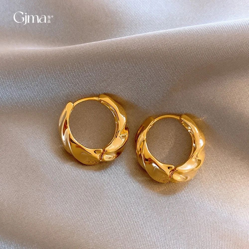 

Luxury Oval Geometric Hoop Earrings Metallic Twisted Design Trendy Light Luxury Jewelry Daily Accessories Wholesale