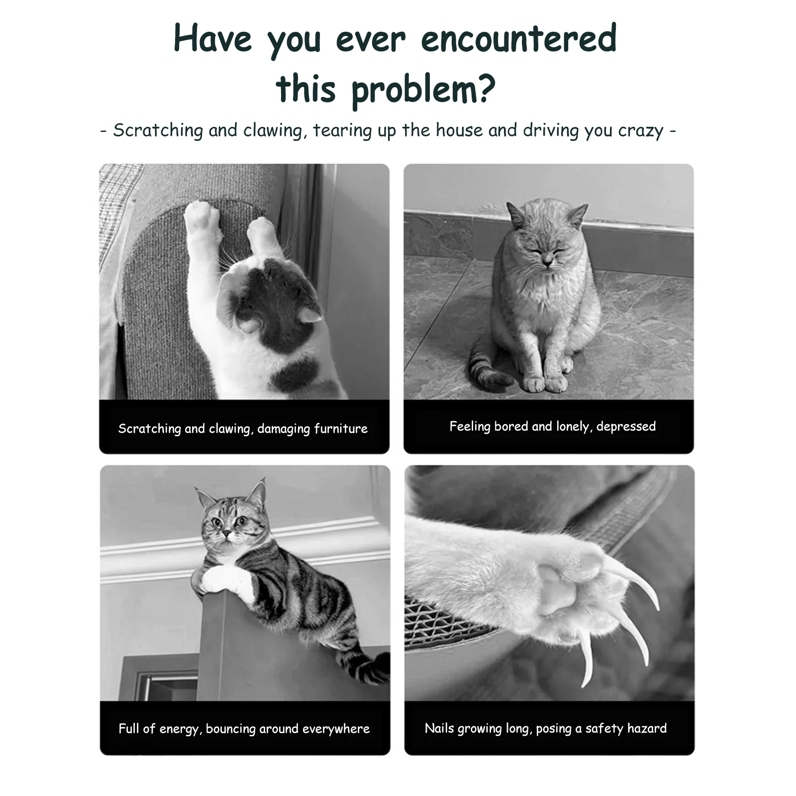 

Когтеточка из сизаля в форме кокосовой пальмы с подвесными шариками, маленький деревянный домик для котят и кошек