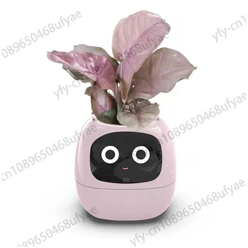 New Smart and Cute Pet Pet Pot Ivy Table Top Green Plants Let Your Plants Express Emotions