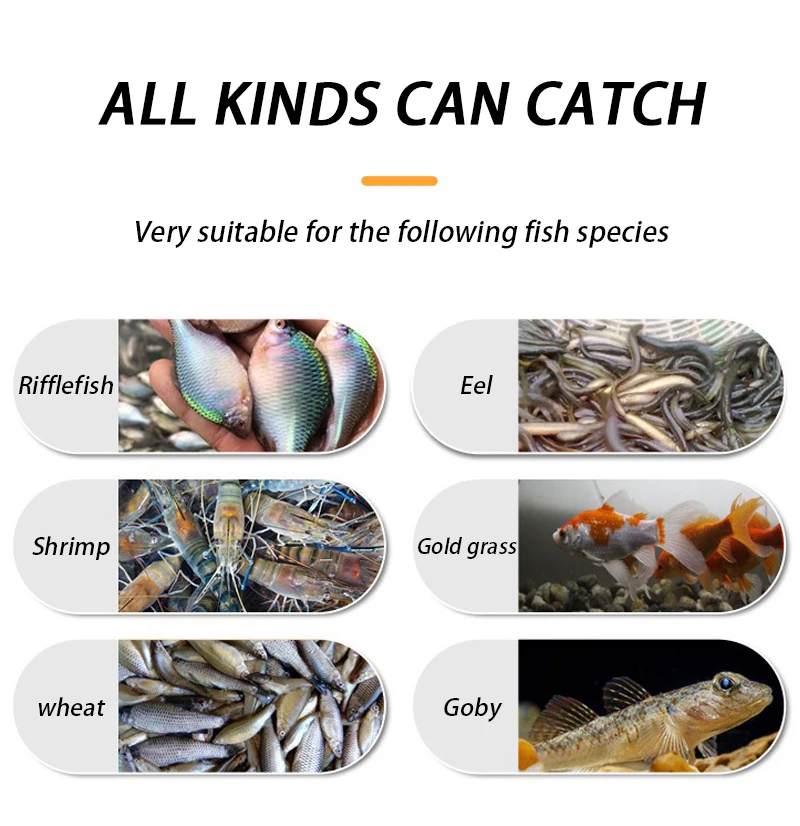 جديد الصيد الفخاخ شبكة قفص PP البلاستيك جراد البحر الماسك كراب الأسماك قفص فخ زجاجة صب الصيد شبكة الروبيان صافي Pesca معالجة