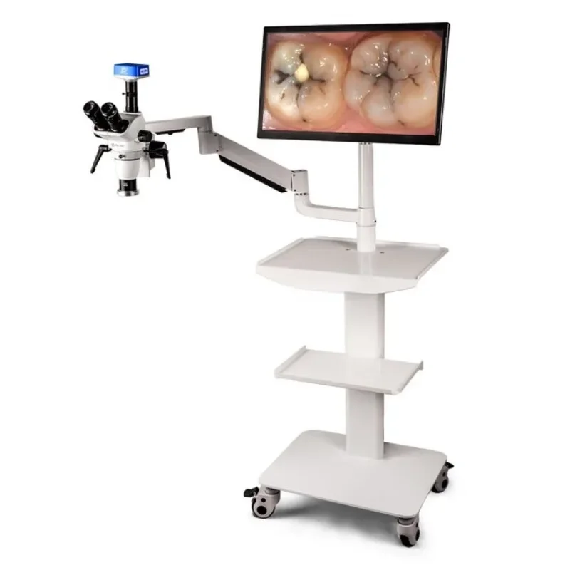 Microscope Oral Root Canal Therapy with Cart Continuous Zoom Biological Anatomy Simulation Trainer MSD208