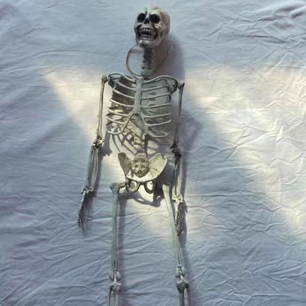 هيكل عظمي على شكل بشري للهالوين، هيكل عظمي يمكن وضعه، عظام على شكل بشري، زينة الهالوين، دعائم رعب للمنزل المسكون 90/170 سم
