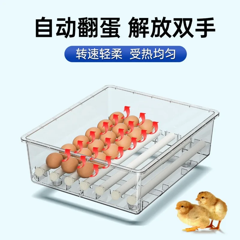 Fully Automatic Breeding Incubators Modern Mini Household Chicken and Duck Incubator Intelligent Egg Incubators for Chicks L
