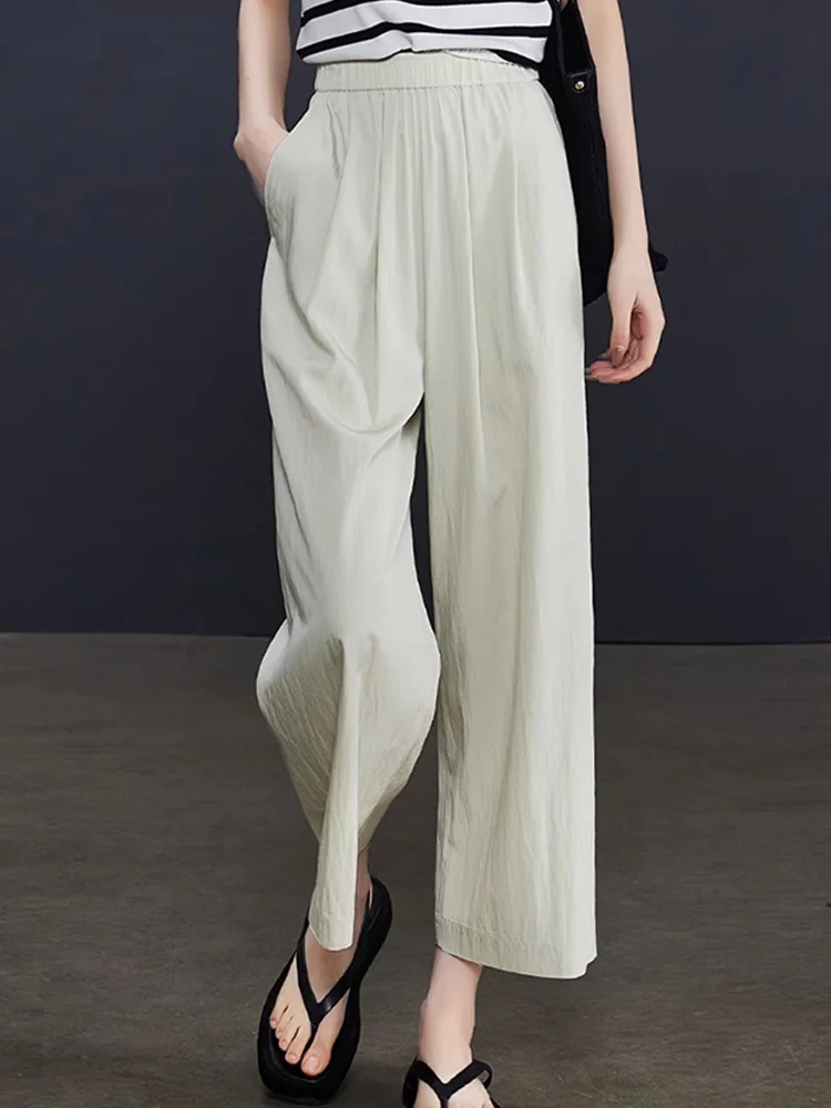 Casual Loose Wide Leg Pants Women's Thin High Waist Pleated Summer 2025 Faion Elastic Waist Casual Trousers