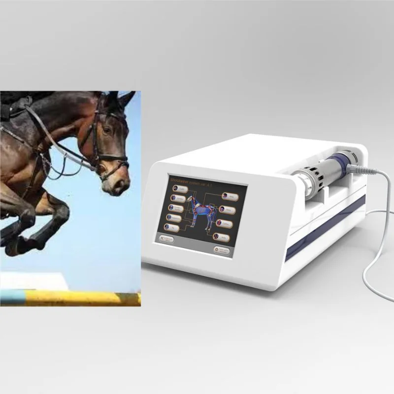 Pneumatic Shock Wave Therapy Equipment Shockwave For Pain Removal Ed Treatment And Fat Reduction