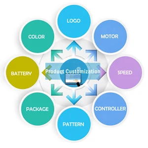 Fulilke und Tricyclo Electric Scooter 3 Räder Elektrisches Dreidreizmotorrad für Erwachsene Passagier 12 Hauptverkauf Erwachsener Elektromotorrad - №11