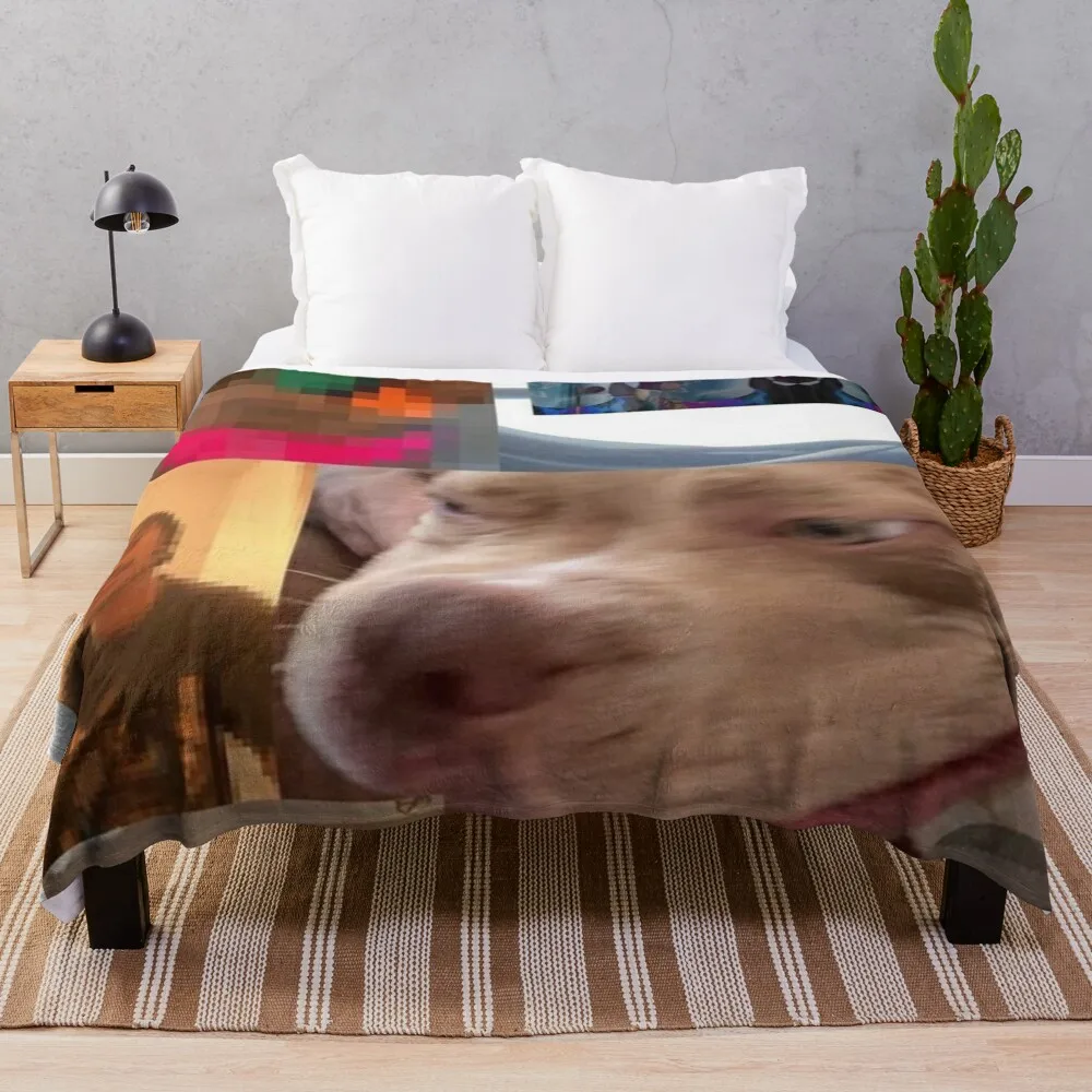 The Lo-Fis- Steve Lacy Album Throw Blanket Summer Beach Furrys Decorative Sofa Soft Plaid Blankets