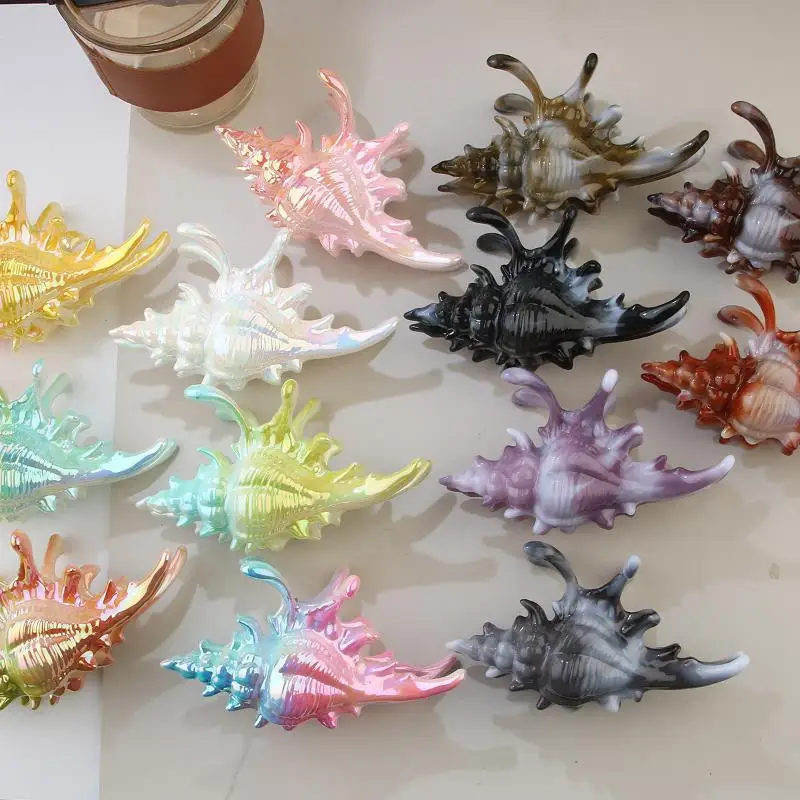 1Pcs Hair Claw Elegant Shark Clip Creative Conch Hairpin Colorful Gift For Summer Beach Headwear Hair Accessories