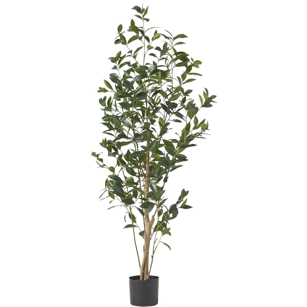

Home Artificial Plant, 5.5'x 2 ', Green