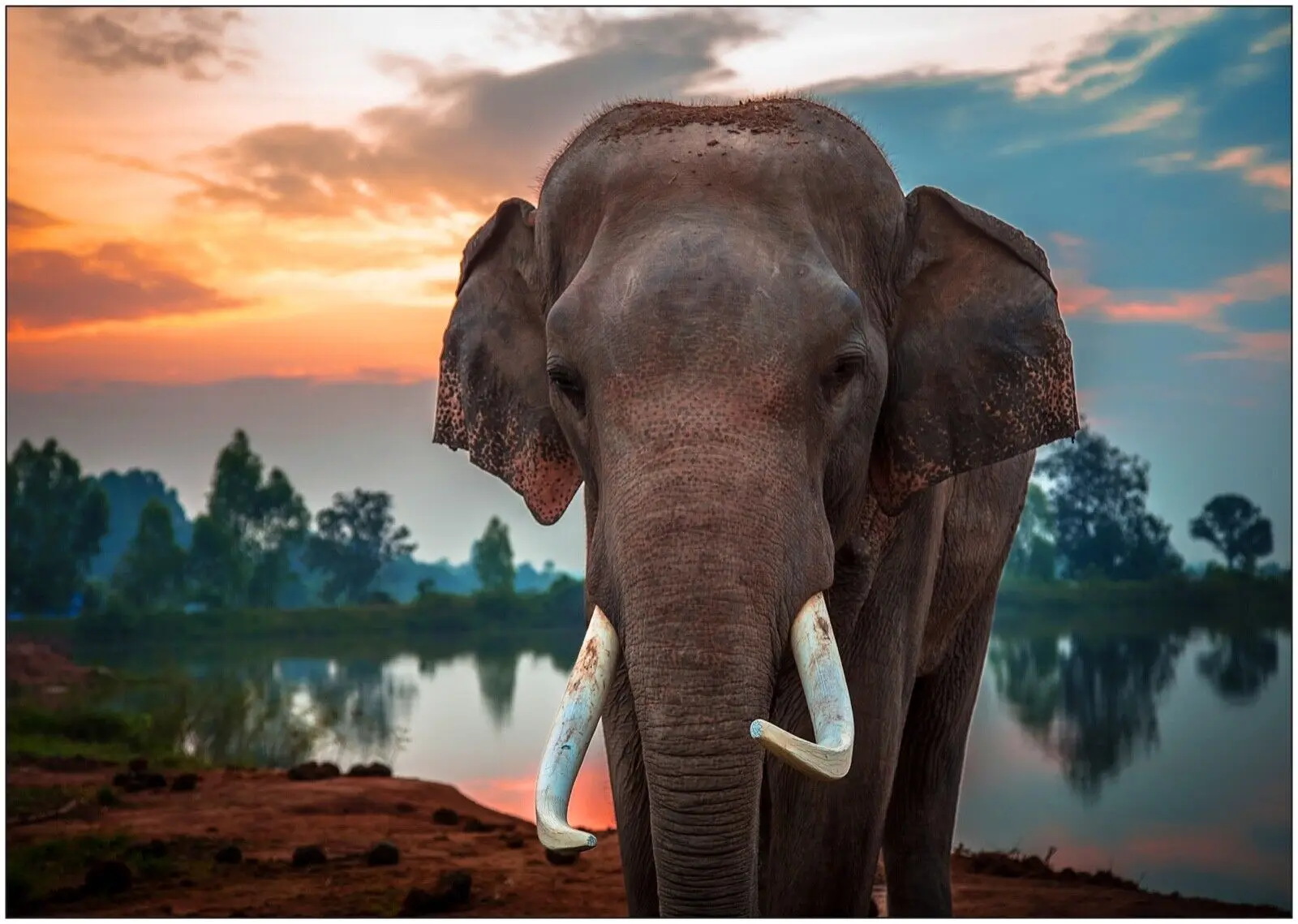 

Elephant Sunset Wildlife Landscape Print Art Canvas Poster For Living Room Decor Home Wall Picture