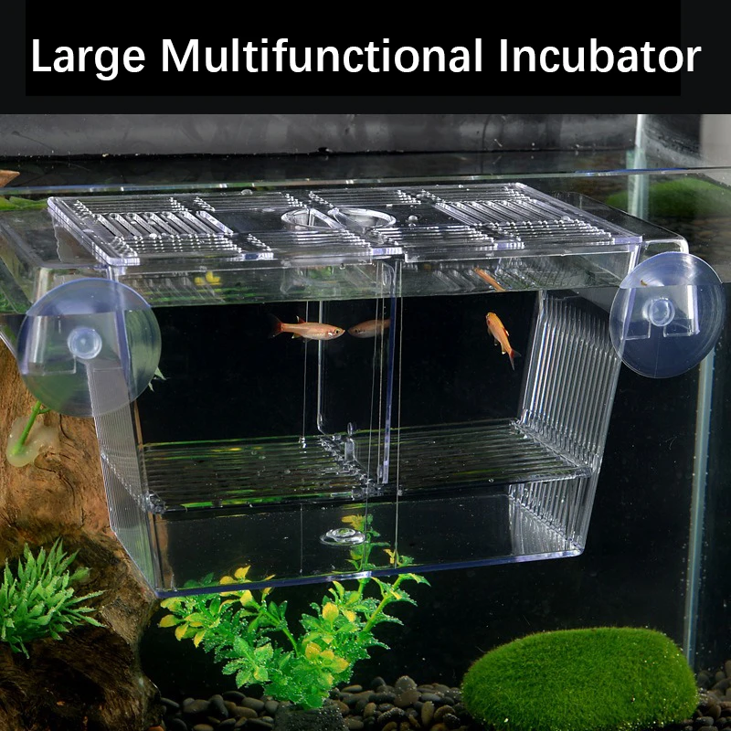 New Aquarium Peacock Fish Incubator Breeding Box Acrylic Isolation Box Tropical Hatchery Spawner Alec Tank  Betta Fish Separate