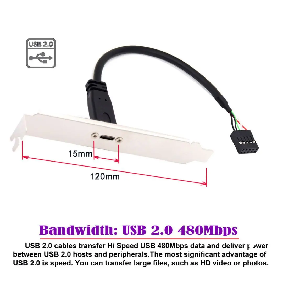 ChenYang USB 2.0 Front Panel Header 9/10Pin to USB C Chassis Back Panel Port Extension Cable 17cm with 12cm PCI-E Slot Bracket