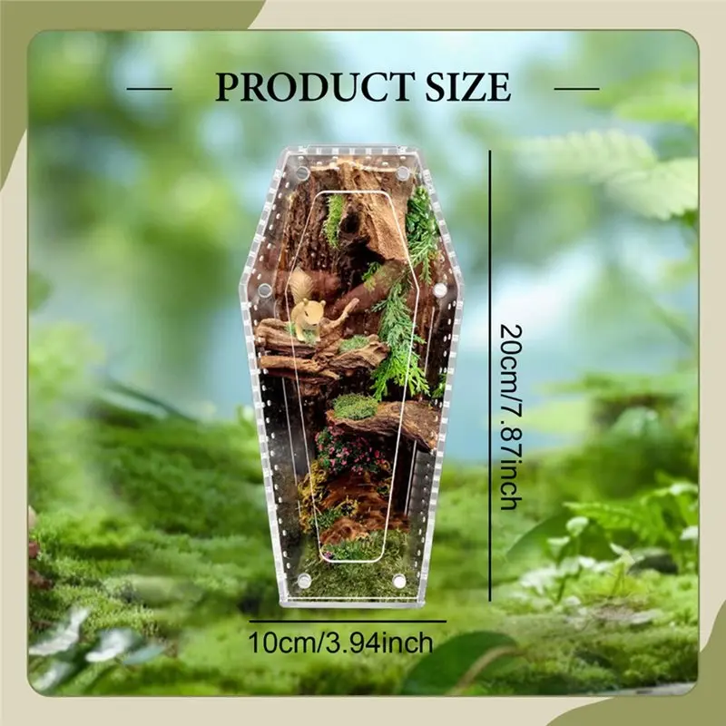 A25F-Spider Cage-Reptile Terrarium Tank-Transparent Acrylic With Ventilation For Pet Insect Enclosure