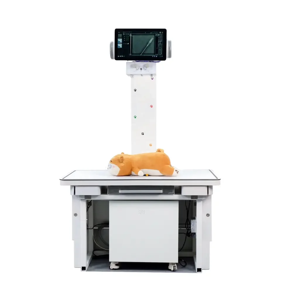 Veterinary Animal Pet DR Veterinary X-ray Machine Medical Vet Digital X-ray Machine for Pets