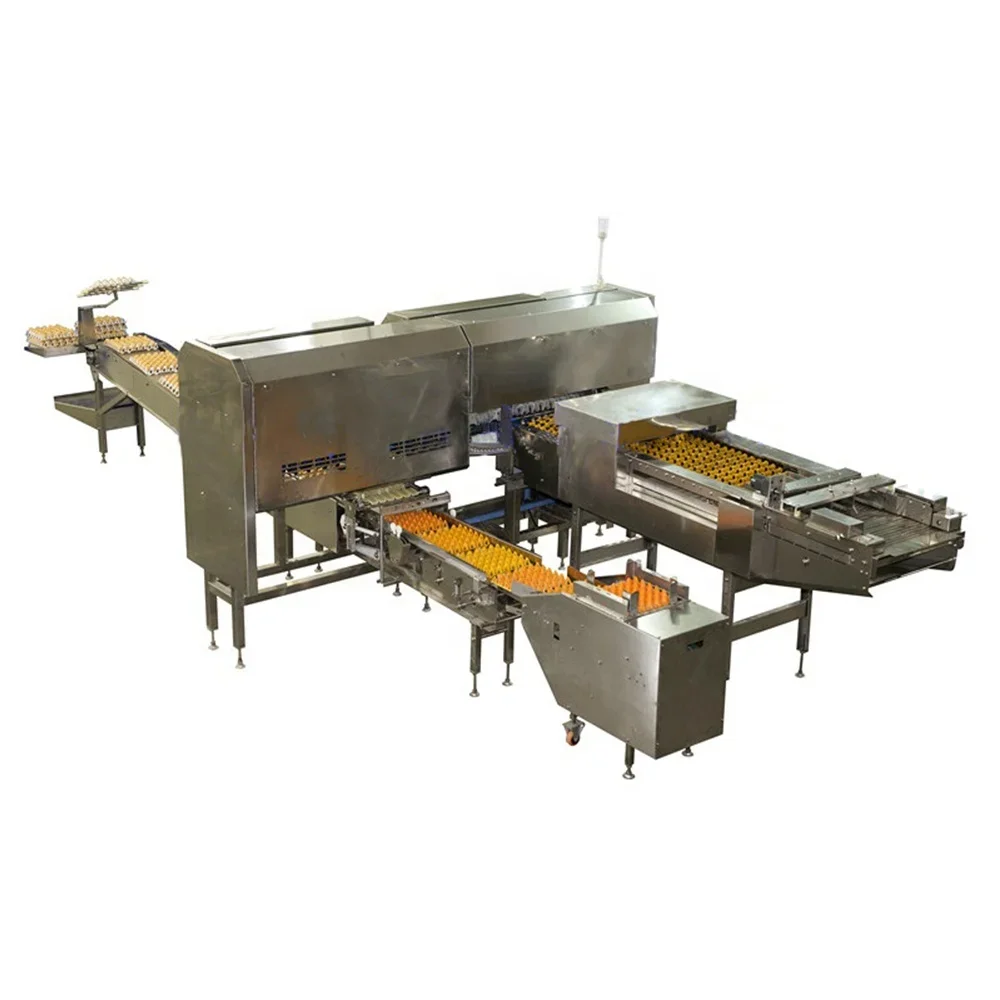 High Efficient Farm Chicken Egg Packing Machine Farm Packer