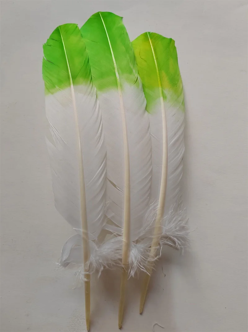 

30Pcs 10-12inches Dyed Turkey Wing Quill Feathers,Two Tone,Lime Green and White,craft feathers for Showgirl Costume