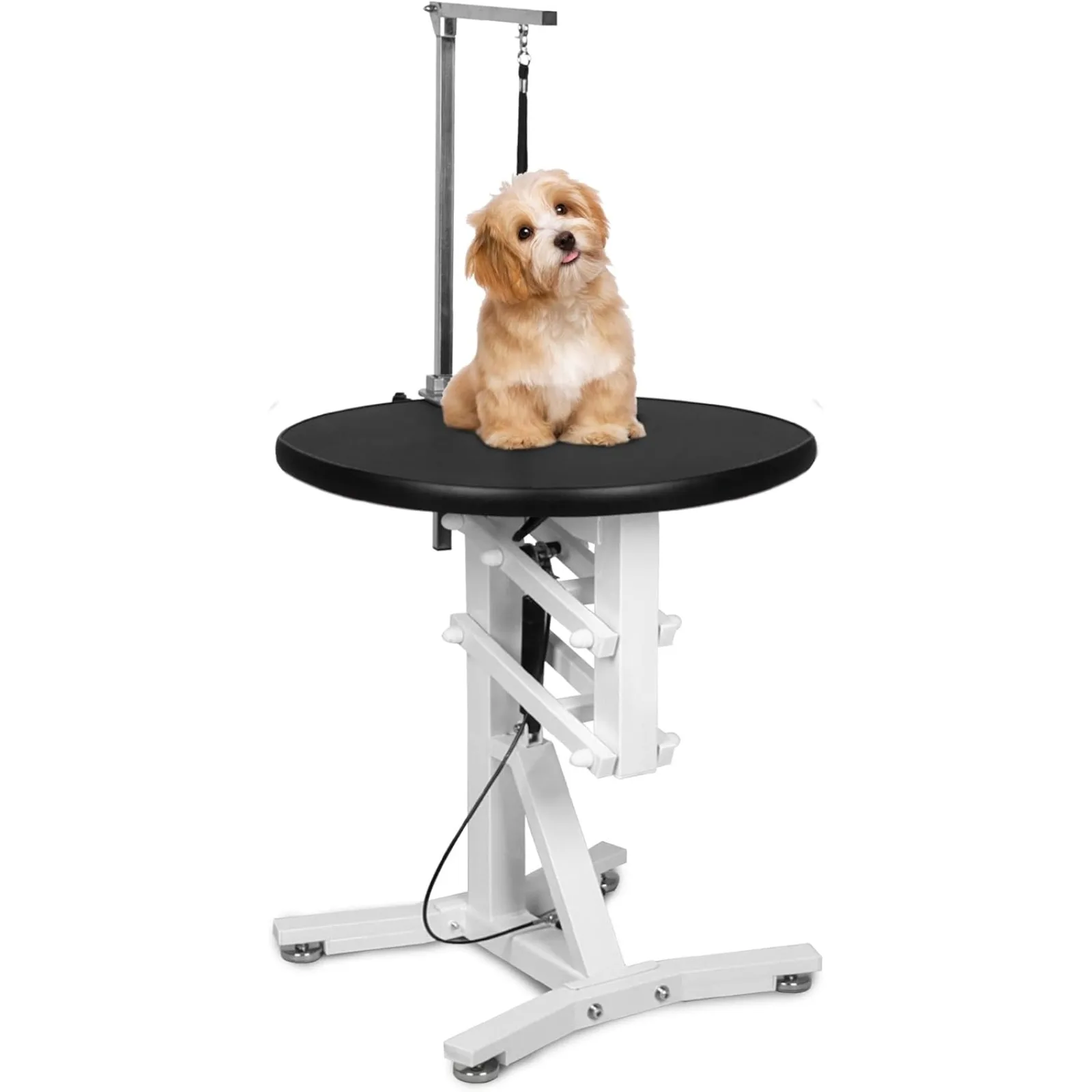 23'' Pet Grooming Table,Pneumatic Lift Dog Grooming Table,Anti-Skid Rubber Circular Rotatable Desktop,Adjustable Overhead