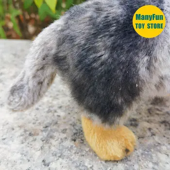 10 best sales Australian cattle dog - №4