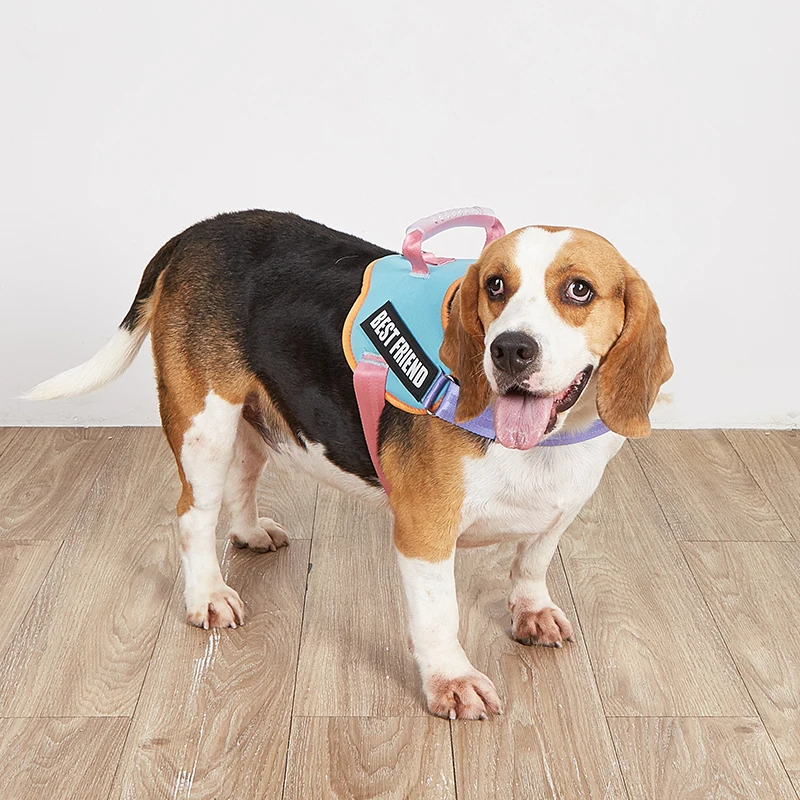 Harness Vest for Small and Medium Dogs, Macaron Color, Safety, No-Pull, Comfortable and Breathable, Mesh Lining, Chest Harness