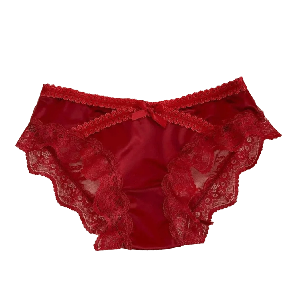 Japanese Style Low Waist Lace Briefs Underwear Sweet Ice Silk Panties Lingerie Mesh Satin Silk Briefs Summer Season