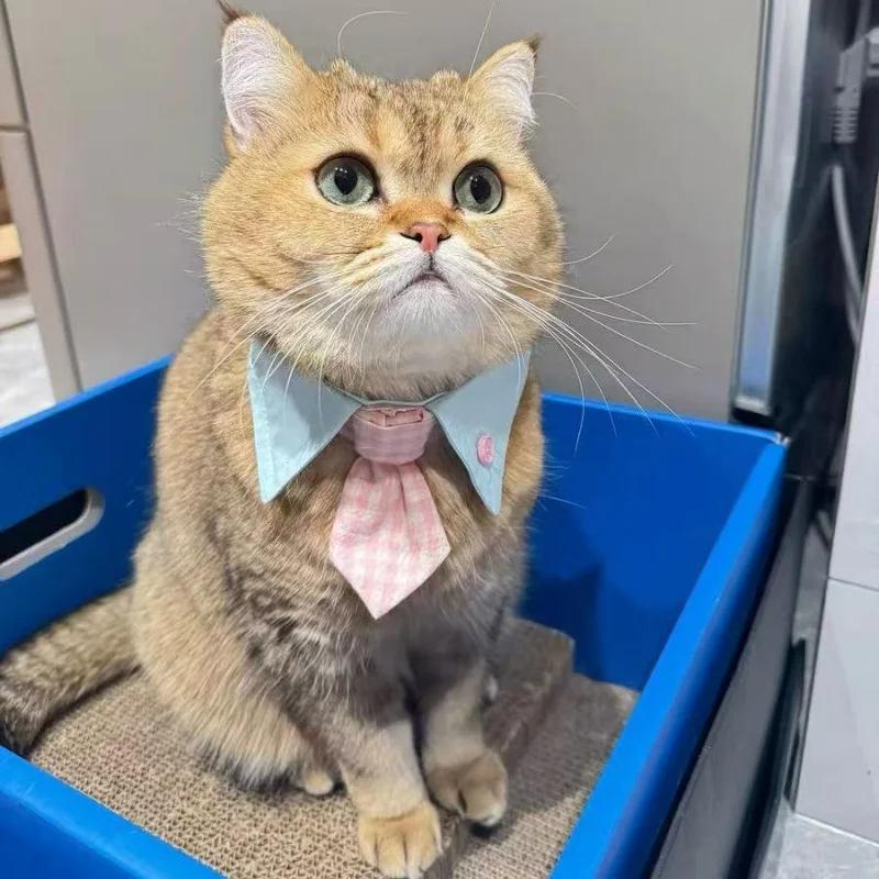 Cat Dog Tie with Collar Adjustable Puppy Pets Necktie Collars Cat Dogs Bow Ties Grooming Costume Accessories Pet plaid bib