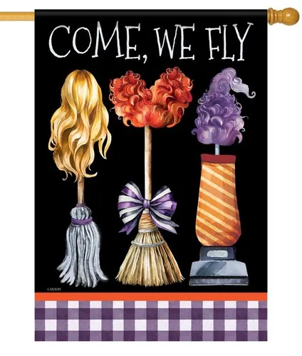 Come, We Fly House … - image