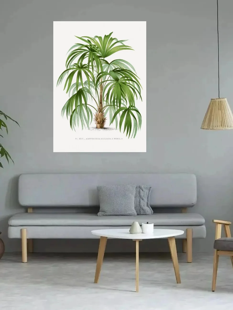 7Style Choose Botanical plants.Palm tree, Print Art Canvas Poster, For Living Room Decor, Home Wall Picture
