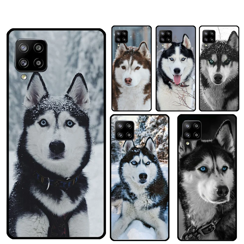 Animal Wolf Dog Husky For Samsung Galaxy A05 A06 A16 A26 A54 A34 A14 A22 A32 A52 A55 A35 A15 A53 A13 A36 A56 Case
