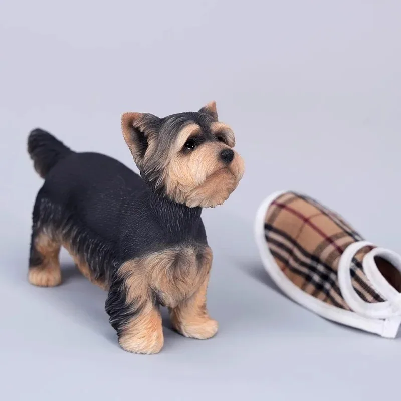 Jxk229 1/6 escala yorkshire terrier figura realista filhote de cachorro resina modelo animal para figuras de ação de 12 polegadas boneca colocação