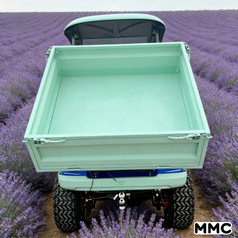 بيع المصنع مباشرة من MMC: عربة جولف ذات بطارية ليثيوم منخفضة السرعة بمقعدين #5