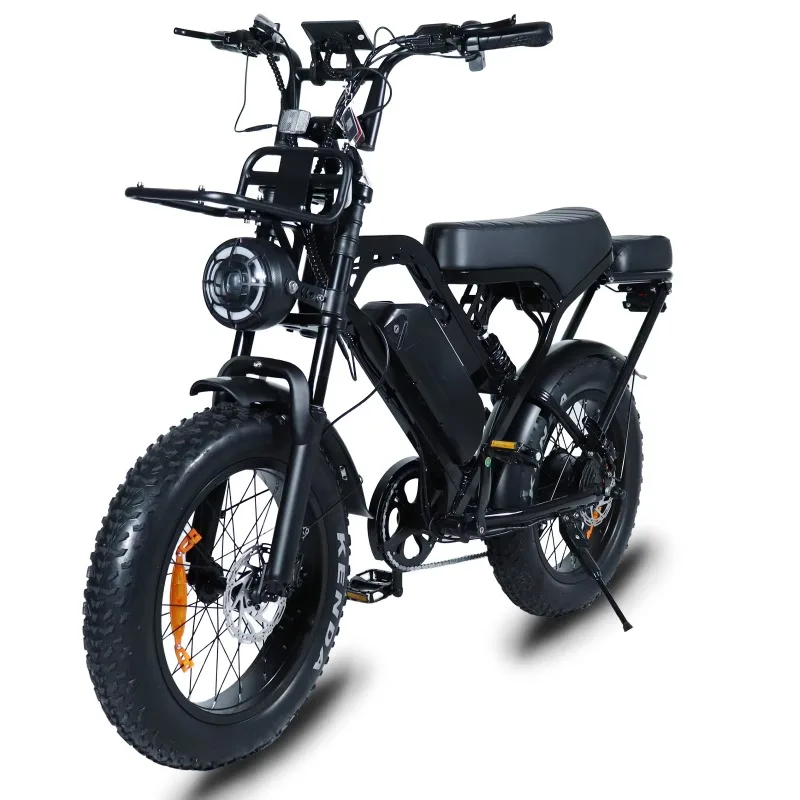 

20 inch fat bike X80 professional delivery electric bike 250W double seat