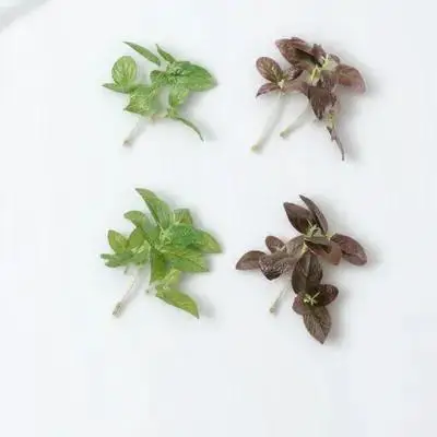 

4Pcs Green Plants Flower Arrangement DIY Plastic Leaves Foldable Indoor Bonsai Decoration Table Balcony Living Room Faux