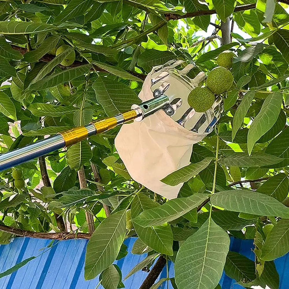 調節可能なフルーツ収穫ポールとバスケット - 果物を収穫するための便利なツール