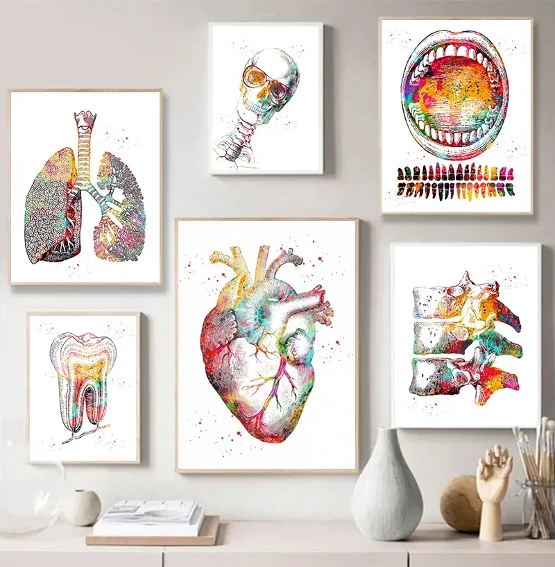 (No frame)Human Anatomy Muscle System Canvas Wall Art, Heart Lung Bone Poster Prints, Medical Education for Office Home Decor