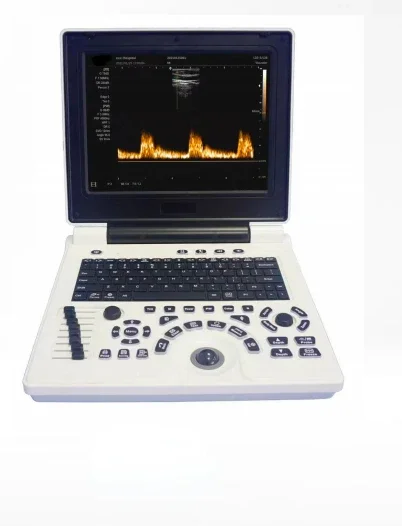 Portable PC Black and White  with Abdominal Convex Array Probe