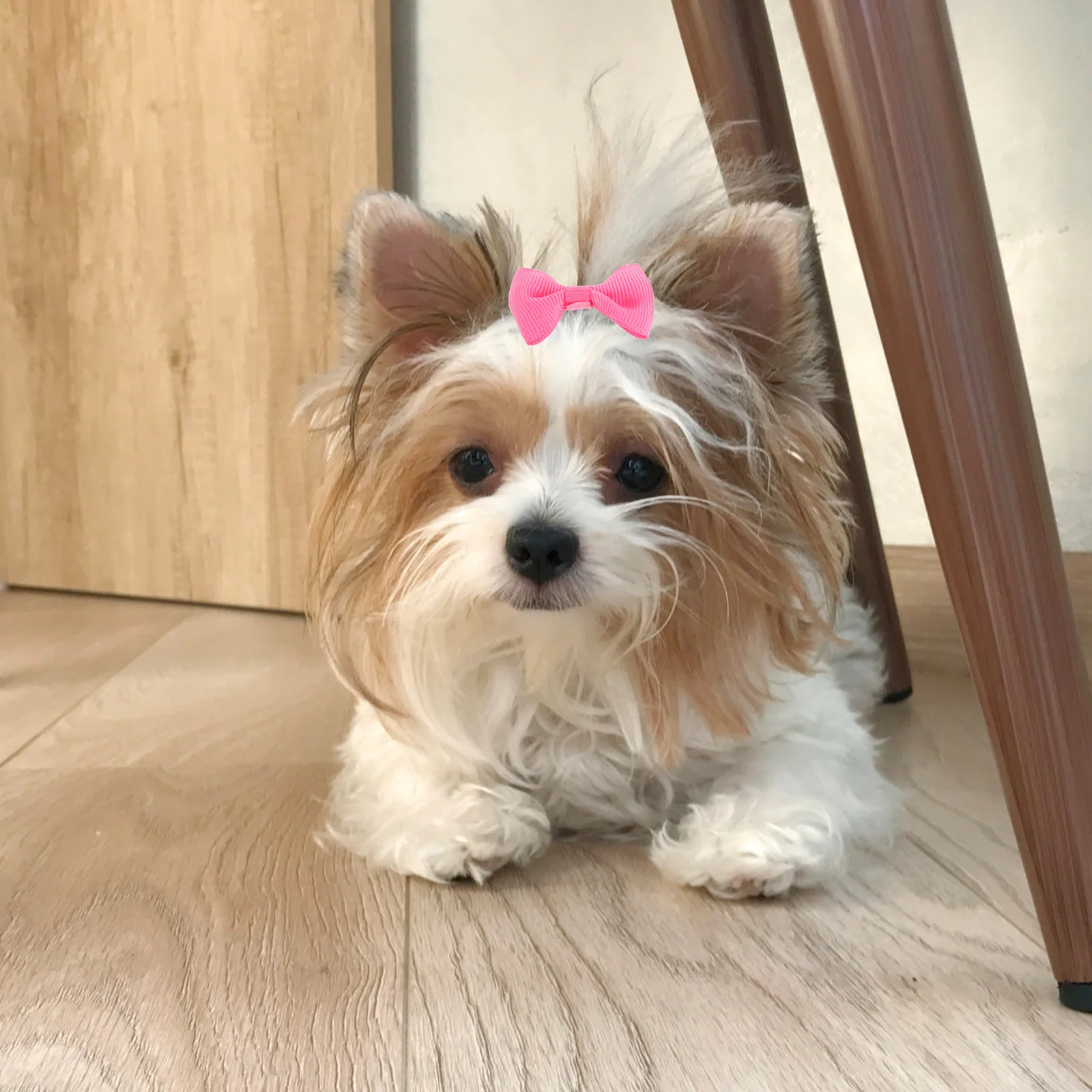 

16Pcs Pet Hair Bows Elastic Bands Solid Color Soft Comfortable Accessories for Cats Dogs Grooming Daily Wear Cute Bowknot Style