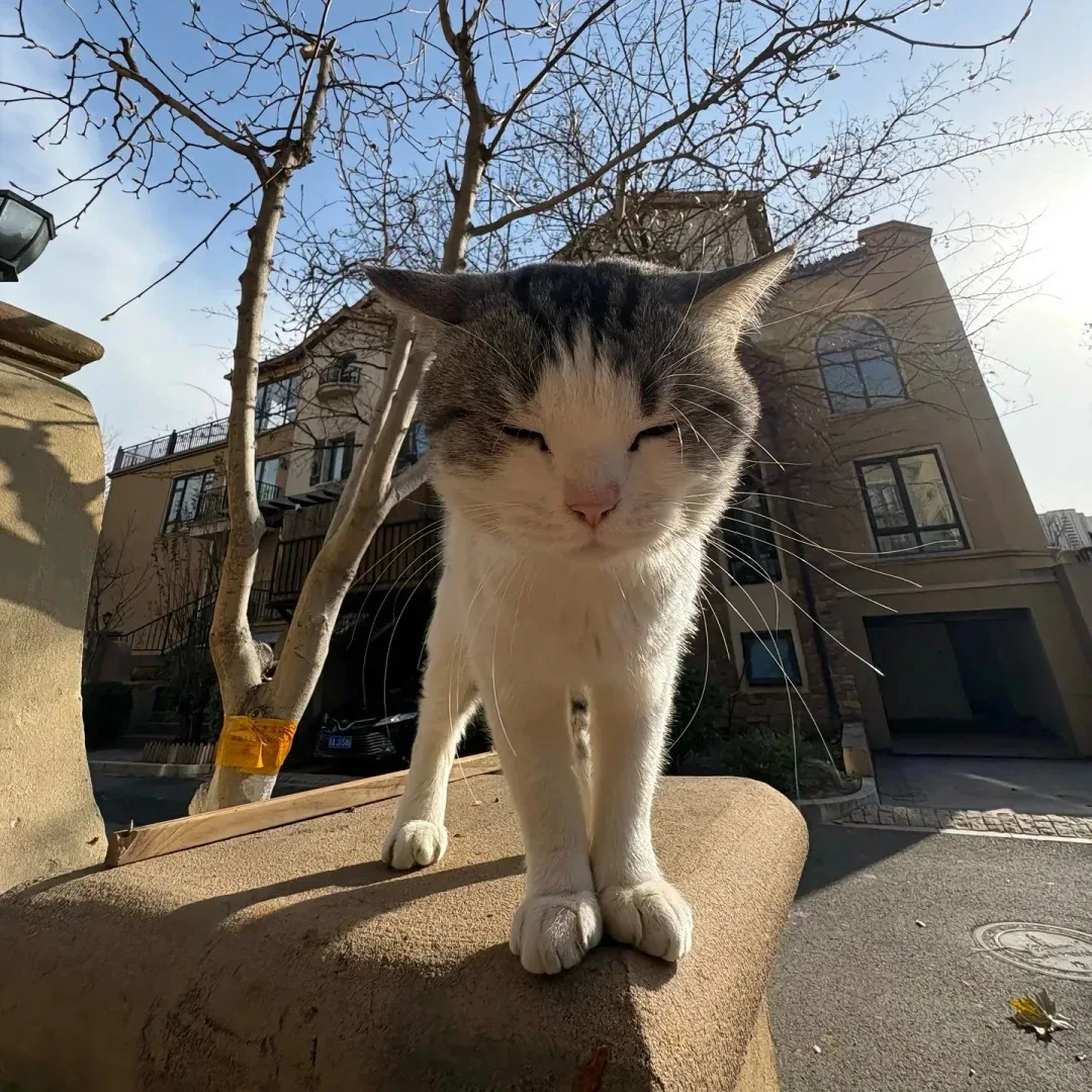 

Multi-functional Physical Therapy Shockwave Vacuum EMS 448k Cet Ret Eswt Machine Pain Relief Ed Treatment Equipment