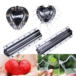 4 Types Fruit Vegetable Mold Stereotype Pentagram Heart Shaped Garden Cucumber Growth Forming Transparent Mould Plastic Tools