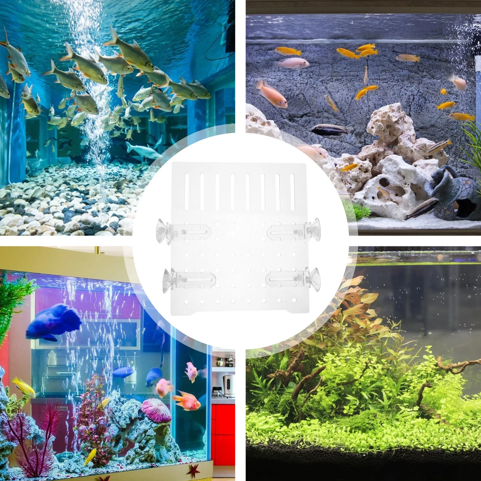 Fish Tank Divider High Transparency Clear Acrylic Aquarium Partition Board Micro Perforated Isolation Grid Plate Easy to Clean