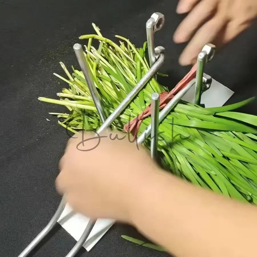 Bundle chives artifact bundle fennel spinach coriander rack