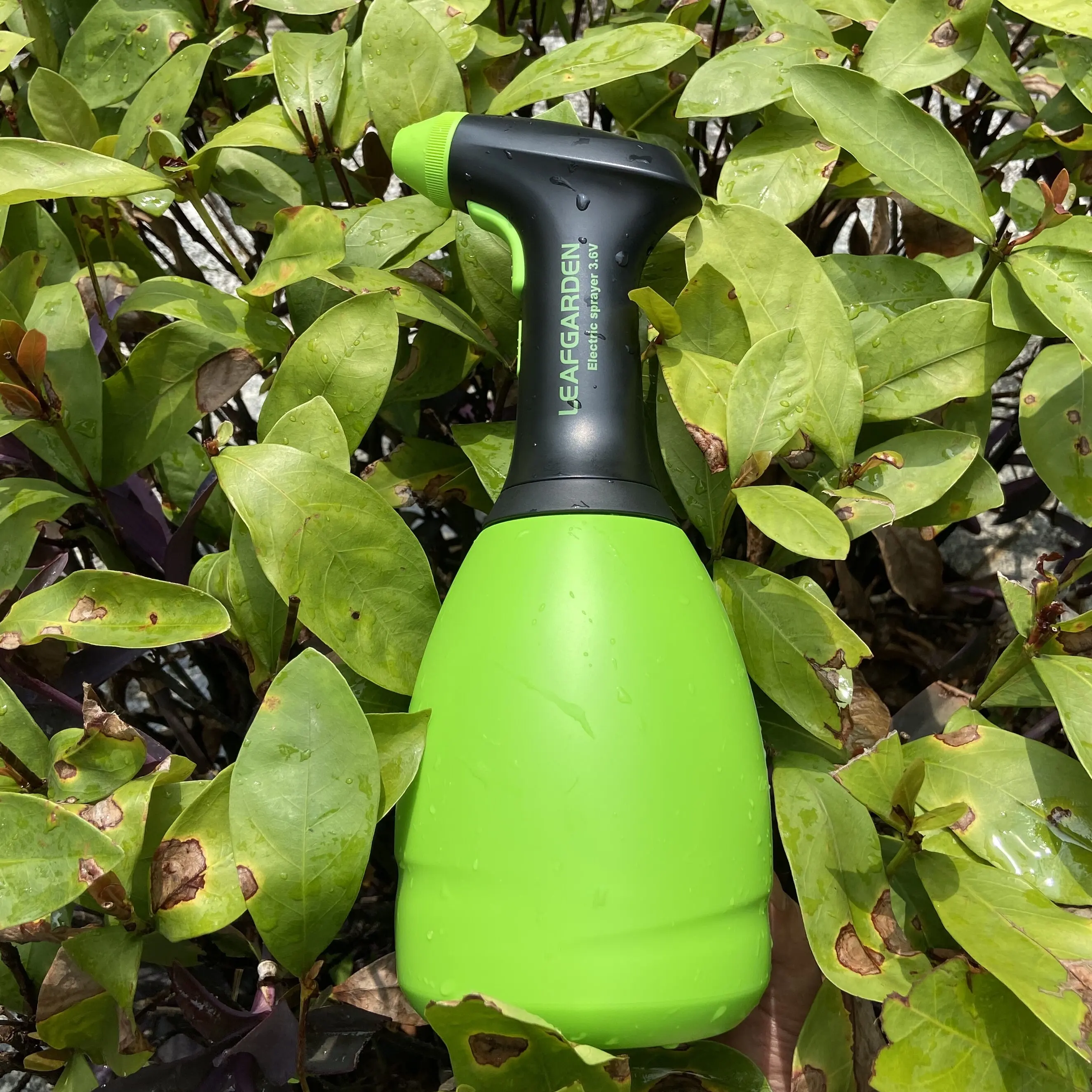 Spruzzatore elettrico Annaffiatoio automatico Fogger Bottiglia USB Spruzzatore disinfettante Irrigatore manuale Ugello Attrezzi agricoli da giardino