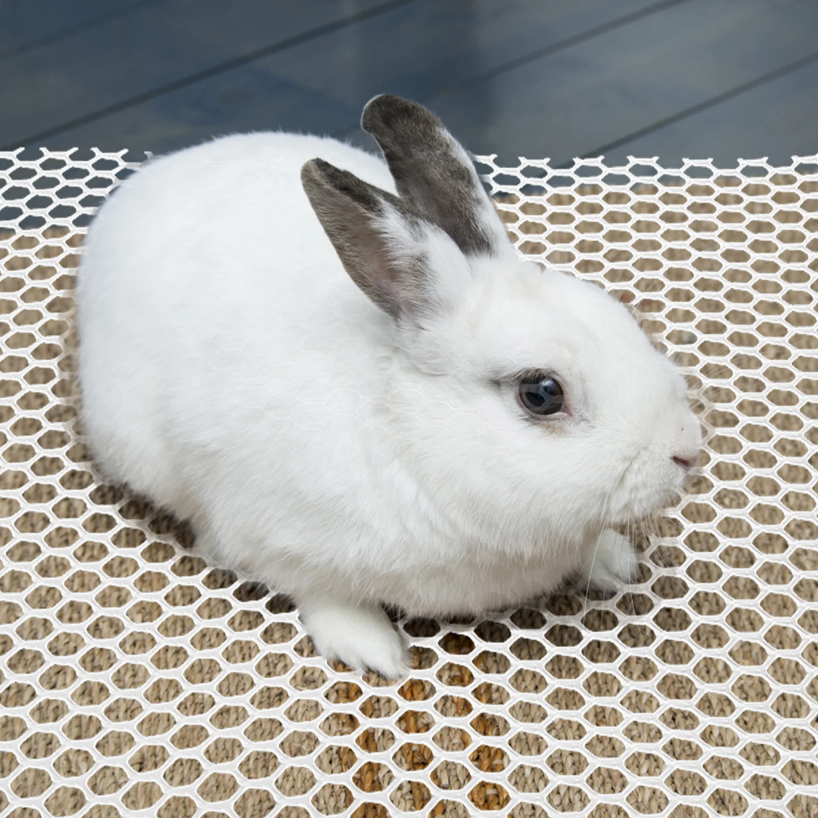 

3Pcs Pet Mesh Mats Breathable Non-Slip Dog Cage Mats Hollow Design Water Drain Mat Protective Pet Cage Accessories