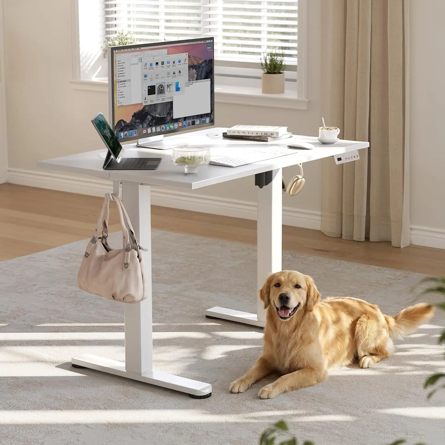 Home Office Use, White Electric Standing Desk with Adjustable Height, Cable Management, and Splice Board
