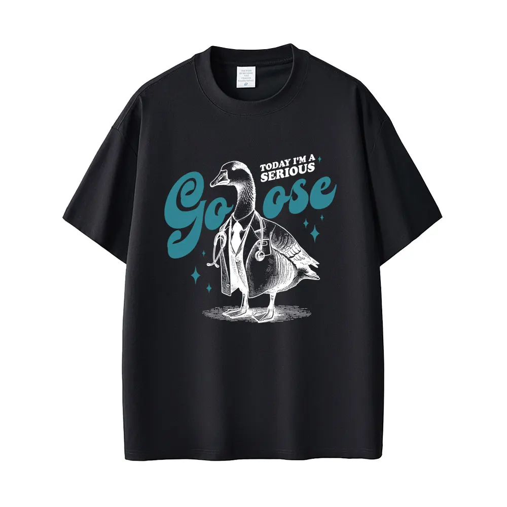 Today I'm A Serious Silly Goose Funny Meme T Shirt Men Women Casual Cotton Vintage T-shirt Oversized T-shirts Streetwear Unisex