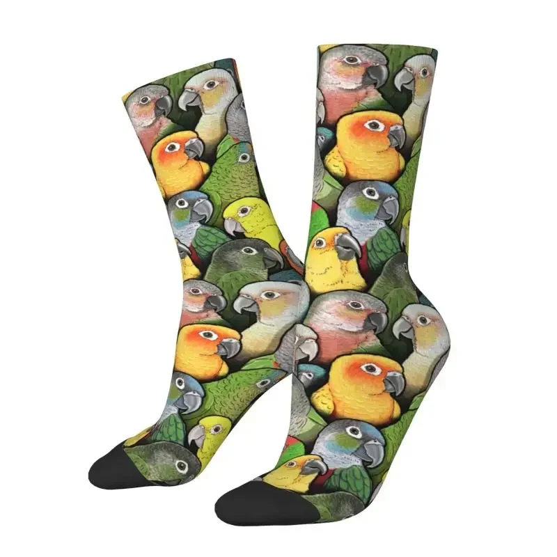 Kleur van Conure Birds Heren Crew Sokken Unisex Grappige Leuke Papegaai Lente Zomer Herfst Winter Jurk