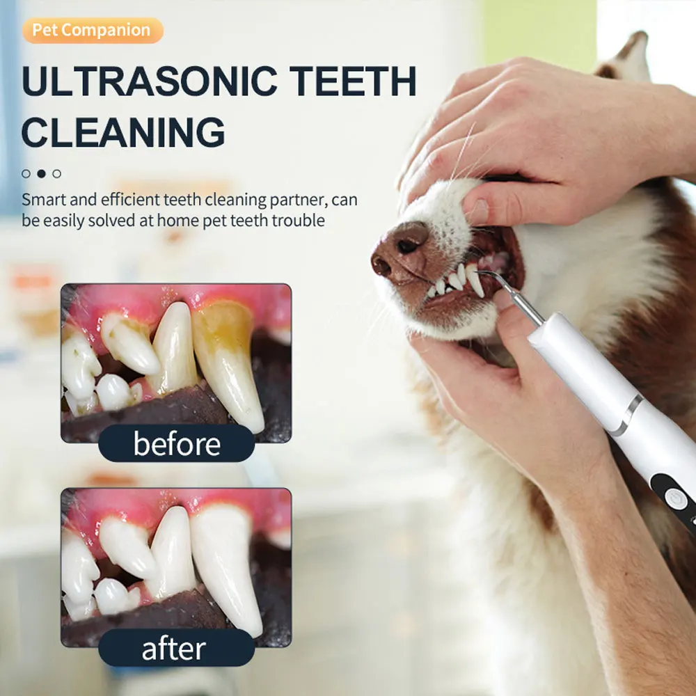 Dog Cat Grooming Smart Dental Ultrasonic Scaler Household Tooth Stone Remover Tooth Cleanertooth Whitening strumenti per la pulizia orale